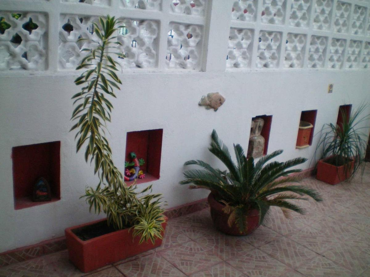 3 Near Ado Bus Terminal And 25 Min From/to Airport By Shuttle Guest house Cancun